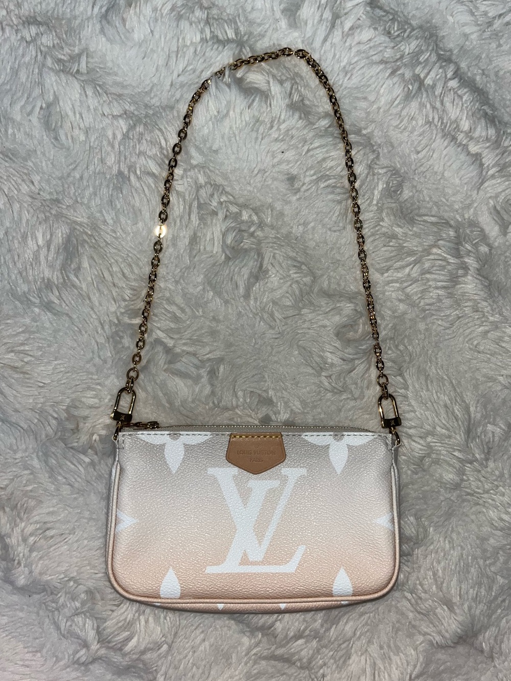 ✨ Louis Vuitton Mini Pochette Accessoires Empreinte Pool Brume Gradient